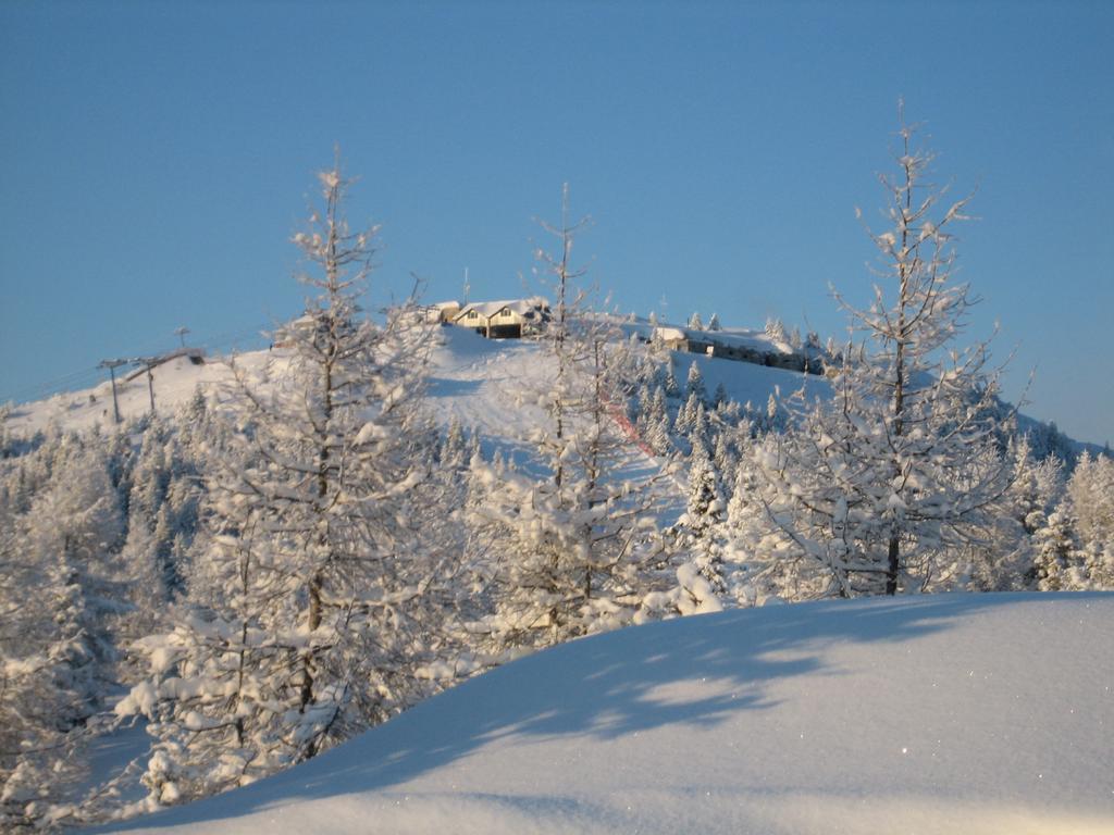Rifugio Verenetta Casere Verena Extérieur photo